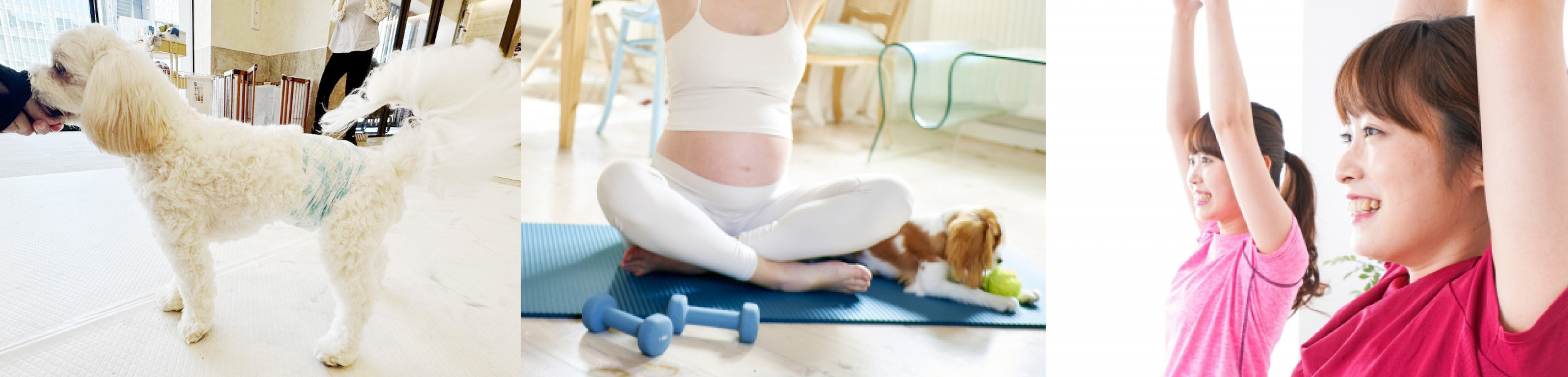 ルーチェ 株式会社アドア 人とペットの豊かな暮らしをサポート フィットネス・ピラティス・ストレッチ・ヨガ・シニア